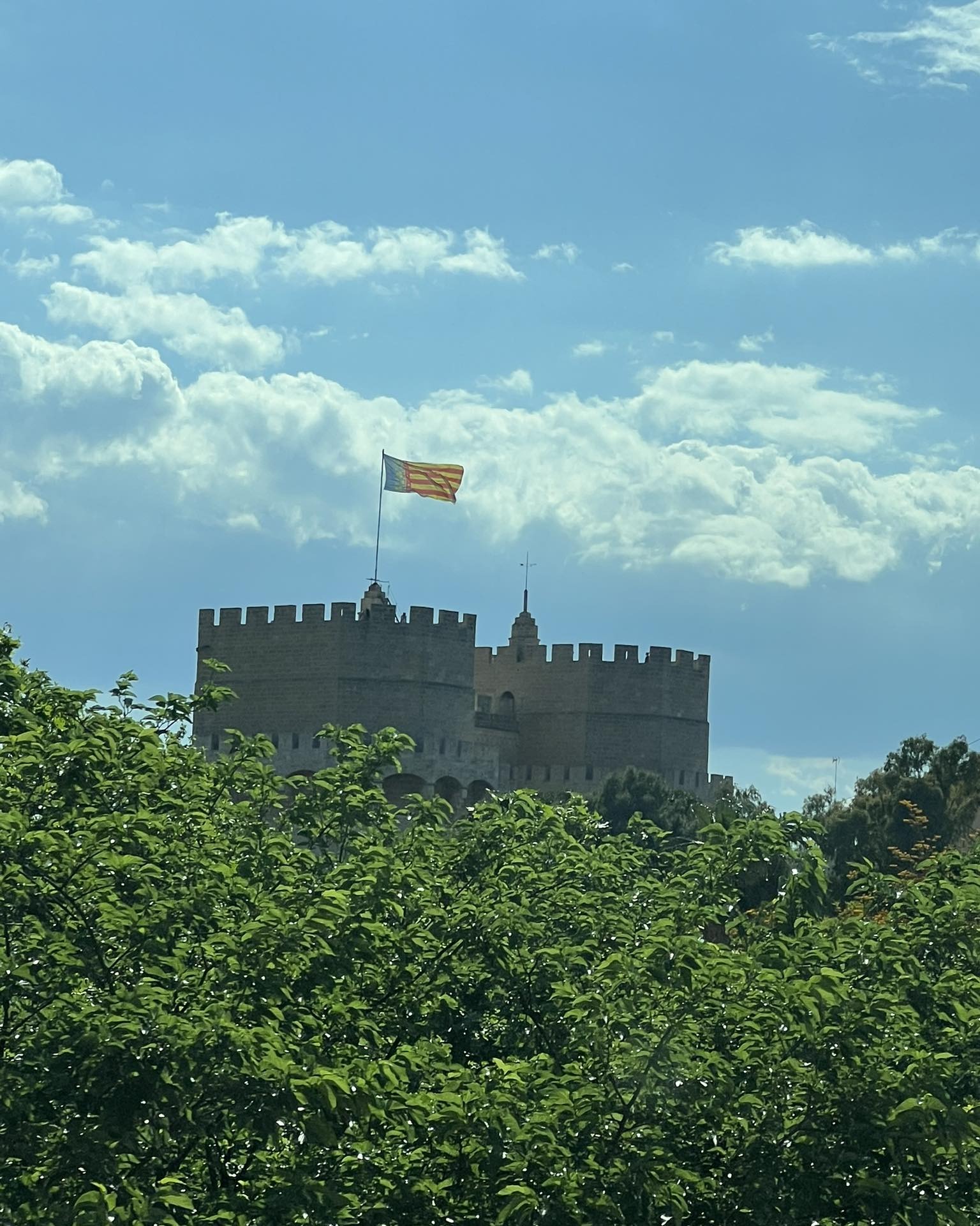 Castillo con bandera visto entre vegetación bajo un cielo nublado